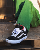 Vans Skate Old Skool 36+ Schoenen